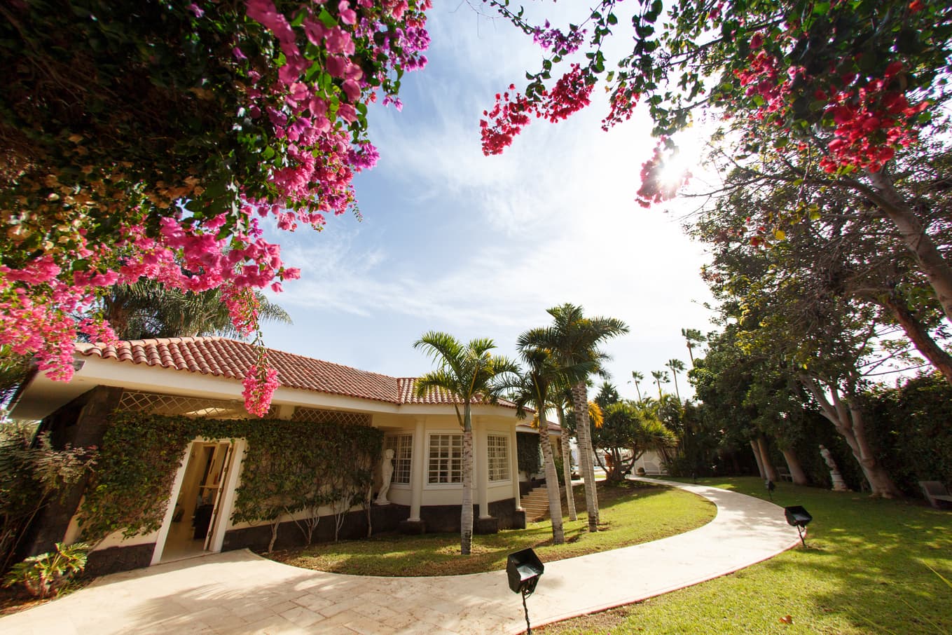 Everything To Sea: The Naked Canary Island Villa