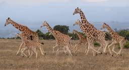 South Africa Should Be Your Next LGBTQ+ Adventure